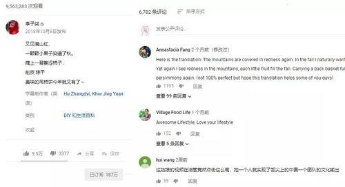 博主爆料齐柏林是谁啊视频,博主爆料背后的神秘人物 第3张 博主爆料齐柏林是谁啊视频,博主爆料背后的神秘人物 第3张